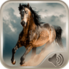 horse sounds android application logo